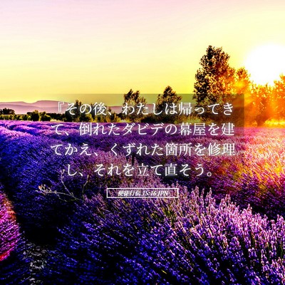 Picture 05 - 使徒行伝 15:16 JPN - 『その後、わたしは帰ってきて、倒 - Bible Verse Picture