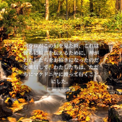 Picture 05 - 使徒行伝 16:10 JPN - パウロがこの幻を見た時、これは彼 - Bible Verse Picture