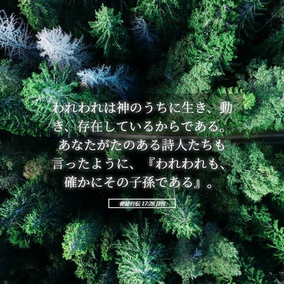 Picture 05 - 使徒行伝 17:28 JPN - われわれは神のうちに生き、動き、 - Bible Verse Picture