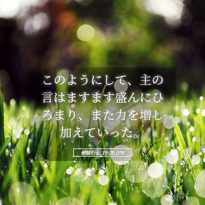 Picture 05 - 使徒行伝 19:20 JPN - このようにして、主の言はますます - Bible Verse Picture