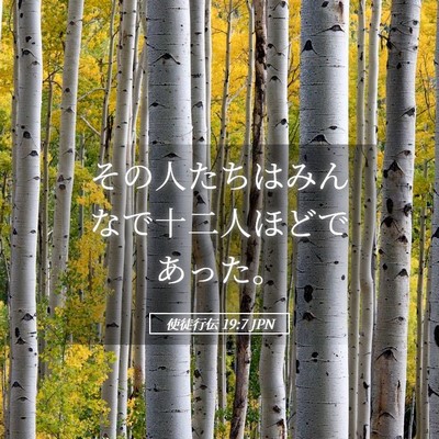 Picture 05 - 使徒行伝 19:7 JPN - その人たちはみんなで十二人ほどで - Bible Verse Picture