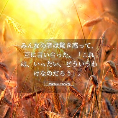 Picture 05 - 使徒行伝 2:12 JPN - みんなの者は驚き惑って、互に言い - Bible Verse Picture