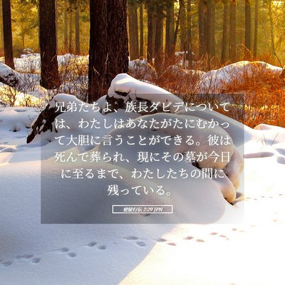 Picture 05 - 使徒行伝 2:29 JPN - 兄弟たちよ、族長ダビデについては - Bible Verse Picture