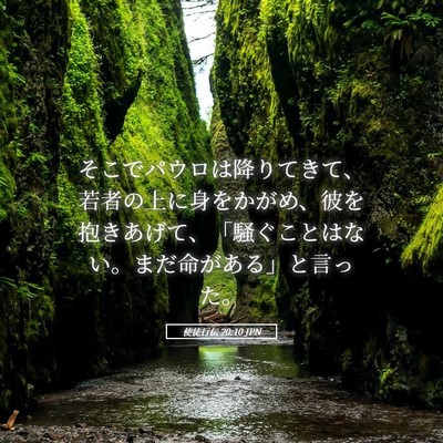 Picture 05 - 使徒行伝 20:10 JPN - そこでパウロは降りてきて、若者の - Bible Verse Picture