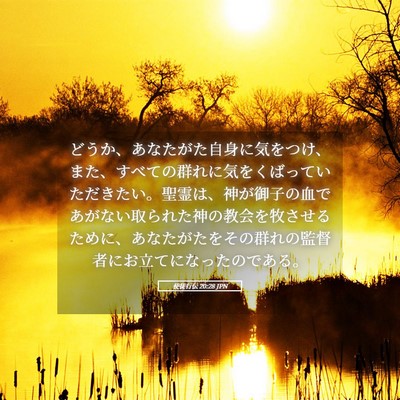 Picture 05 - 使徒行伝 20:28 JPN - どうか、あなたがた自身に気をつけ - Bible Verse Picture