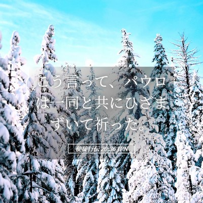 Picture 05 - 使徒行伝 20:36 JPN - こう言って、パウロは一同と共にひ - Bible Verse Picture