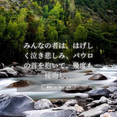 Picture 05 - 使徒行伝 20:37 JPN - みんなの者は、はげしく泣き悲しみ - Bible Verse Picture
