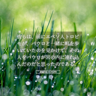 Picture 05 - 使徒行伝 21:29 JPN - 彼らは、前にエペソ人トロピモが、 - Bible Verse Picture