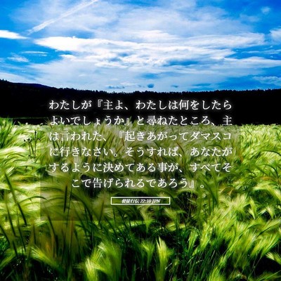 Picture 05 - 使徒行伝 22:10 JPN - わたしが『主よ、わたしは何をした - Bible Verse Picture