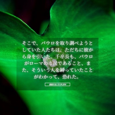 Picture 05 - 使徒行伝 22:29 JPN - そこで、パウロを取り調べようとし - Bible Verse Picture