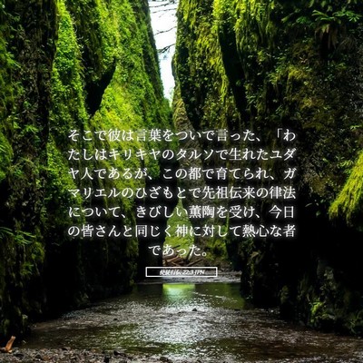 Picture 05 - 使徒行伝 22:3 JPN - そこで彼は言葉をついで言った、「 - Bible Verse Picture