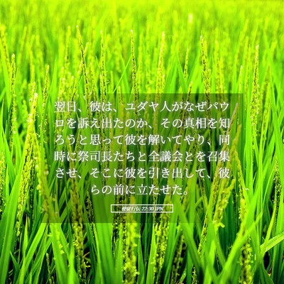 Picture 05 - 使徒行伝 22:30 JPN - 翌日、彼は、ユダヤ人がなぜパウロ - Bible Verse Picture