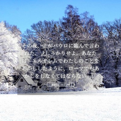 Picture 05 - 使徒行伝 23:11 JPN - その夜、主がパウロに臨んで言われ - Bible Verse Picture