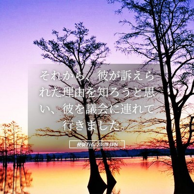 Picture 05 - 使徒行伝 23:28 JPN - それから、彼が訴えられた理由を知 - Bible Verse Picture