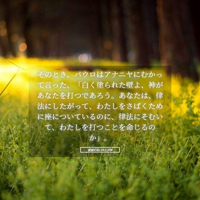 Picture 05 - 使徒行伝 23:3 JPN - そのとき、パウロはアナニヤにむか - Bible Verse Picture