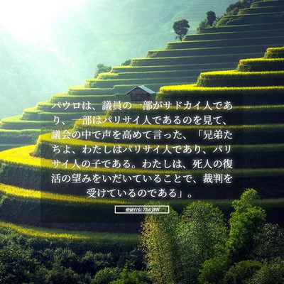 Picture 05 - 使徒行伝 23:6 JPN - パウロは、議員の一部がサドカイ人 - Bible Verse Picture