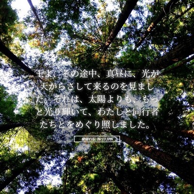 Picture 05 - 使徒行伝 26:13 JPN - 王よ、その途中、真昼に、光が天か - Bible Verse Picture
