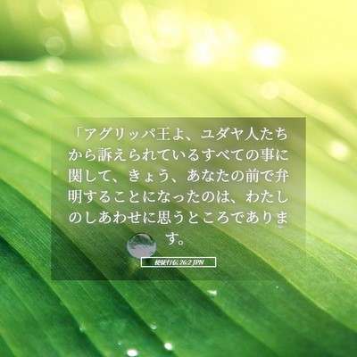 Picture 05 - 使徒行伝 26:2 JPN - 「アグリッパ王よ、ユダヤ人たちか - Bible Verse Picture