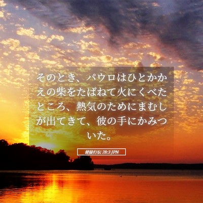 Picture 05 - 使徒行伝 28:3 JPN - そのとき、パウロはひとかかえの柴 - Bible Verse Picture