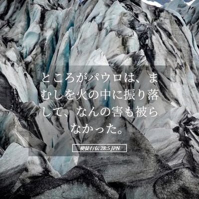Picture 05 - 使徒行伝 28:5 JPN - ところがパウロは、まむしを火の中 - Bible Verse Picture