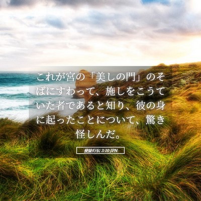 Picture 05 - 使徒行伝 3:10 JPN - これが宮の「美しの門」のそばにす - Bible Verse Picture