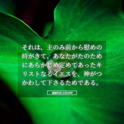 Picture 05 - 使徒行伝 3:20 JPN - それは、主のみ前から慰めの時がき - Bible Verse Picture
