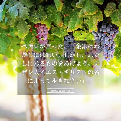 Picture 05 - 使徒行伝 3:6 JPN - ペテロが言った、「金銀はわたしに - Bible Verse Picture