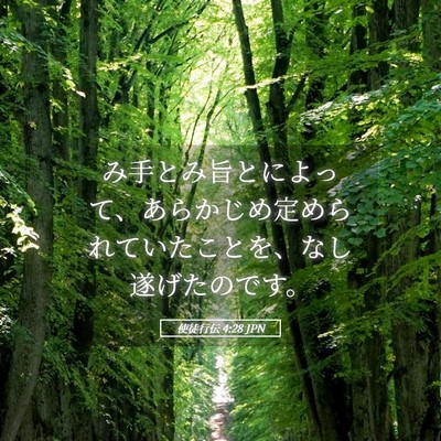 Picture 05 - 使徒行伝 4:28 JPN - み手とみ旨とによって、あらかじめ - Bible Verse Picture