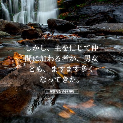Picture 05 - 使徒行伝 5:14 JPN - しかし、主を信じて仲間に加わる者 - Bible Verse Picture