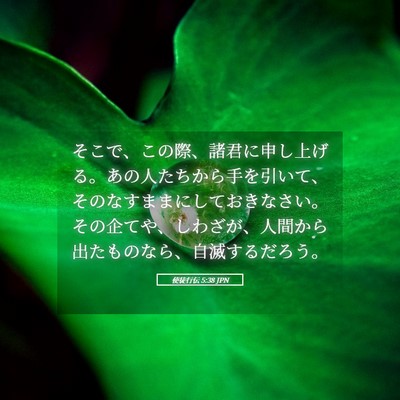 Picture 05 - 使徒行伝 5:38 JPN - そこで、この際、諸君に申し上げる - Bible Verse Picture