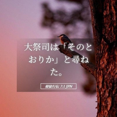 Picture 05 - 使徒行伝 7:1 JPN - 大祭司は「そのとおりか」と尋ねた - Bible Verse Picture