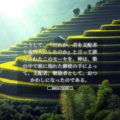Picture 05 - 使徒行伝 7:35 JPN - こうして、『だれが、君を支配者や - Bible Verse Picture