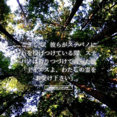 Picture 05 - 使徒行伝 7:59 JPN - こうして、彼らがステパノに石を投 - Bible Verse Picture