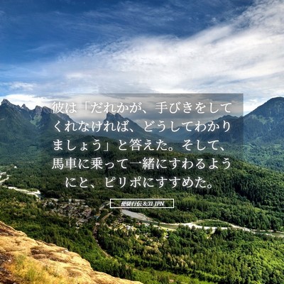 Picture 05 - 使徒行伝 8:31 JPN - 彼は「だれかが、手びきをしてくれ - Bible Verse Picture