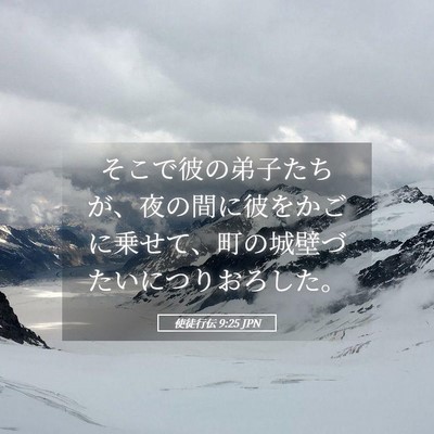 Picture 05 - 使徒行伝 9:25 JPN - そこで彼の弟子たちが、夜の間に彼 - Bible Verse Picture