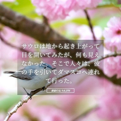 Picture 05 - 使徒行伝 9:8 JPN - サウロは地から起き上がって目を開 - Bible Verse Picture