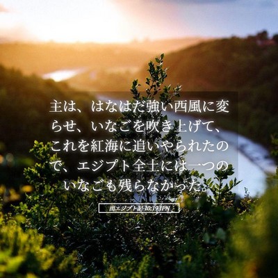 Picture 05 - 出エジプト記 10:19 JPN - 主は、はなはだ強い西風に変らせ、 - Bible Verse Picture