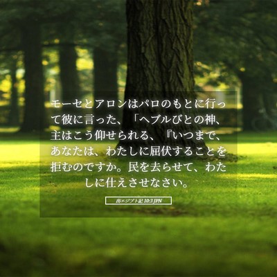 Picture 05 - 出エジプト記 10:3 JPN - モーセとアロンはパロのもとに行っ - Bible Verse Picture