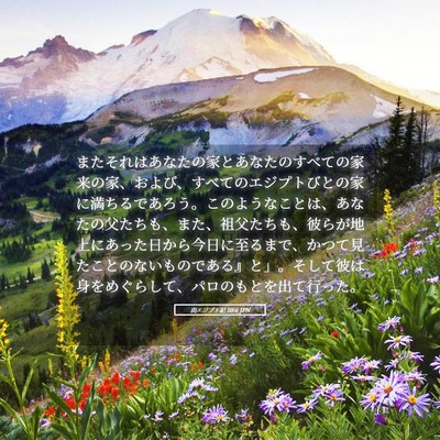 Picture 05 - 出エジプト記 10:6 JPN - またそれはあなたの家とあなたのす - Bible Verse Picture