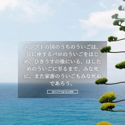 Picture 05 - 出エジプト記 11:5 JPN - エジプトの国のうちのういごは、位 - Bible Verse Picture
