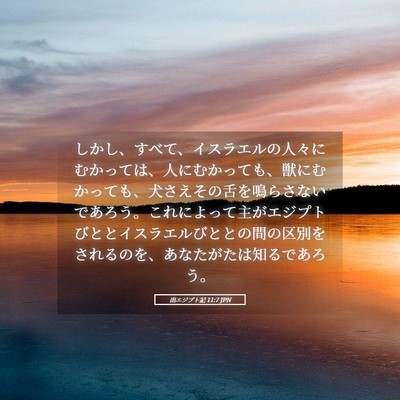 Picture 05 - 出エジプト記 11:7 JPN - しかし、すべて、イスラエルの人々 - Bible Verse Picture