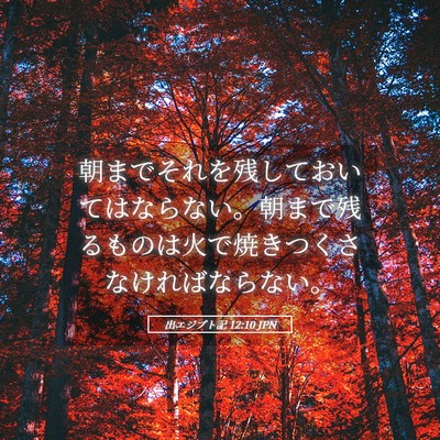 Picture 05 - 出エジプト記 12:10 JPN - 朝までそれを残しておいてはならな - Bible Verse Picture