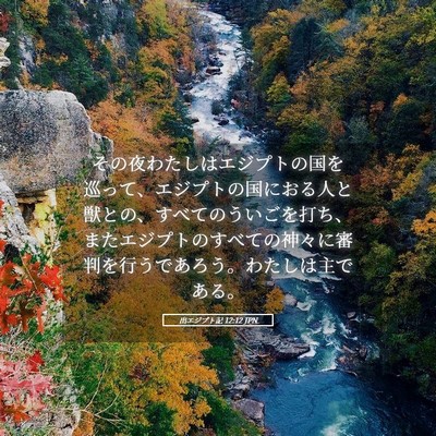 Picture 05 - 出エジプト記 12:12 JPN - その夜わたしはエジプトの国を巡っ - Bible Verse Picture