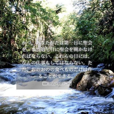 Picture 05 - 出エジプト記 12:16 JPN - かつ、あなたがたは第一日に聖会を - Bible Verse Picture