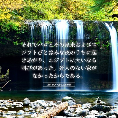 Picture 05 - 出エジプト記 12:30 JPN - それでパロとその家来およびエジプ - Bible Verse Picture