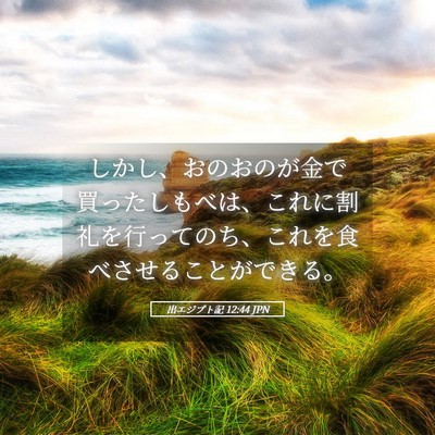 Picture 05 - 出エジプト記 12:44 JPN - しかし、おのおのが金で買ったしも - Bible Verse Picture