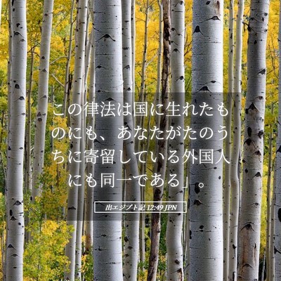 Picture 05 - 出エジプト記 12:49 JPN - この律法は国に生れたものにも、あ - Bible Verse Picture