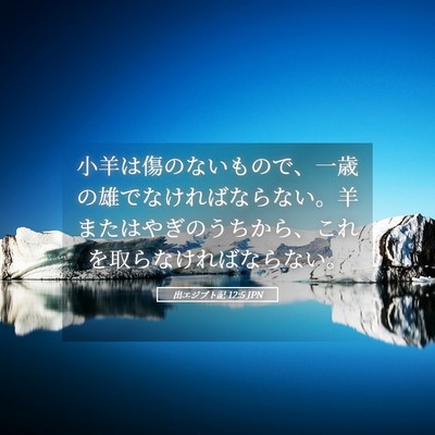 Picture 05 - 出エジプト記 12:5 JPN - 小羊は傷のないもので、一歳の雄で - Bible Verse Picture
