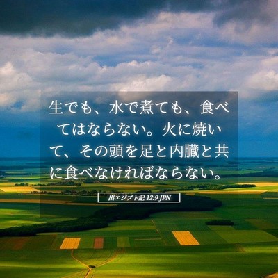 Picture 05 - 出エジプト記 12:9 JPN - 生でも、水で煮ても、食べてはなら - Bible Verse Picture