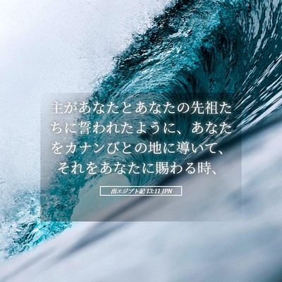 Picture 05 - 出エジプト記 13:11 JPN - 主があなたとあなたの先祖たちに誓 - Bible Verse Picture